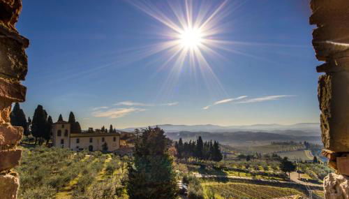 Fattoria di Cinciano - Foto 5