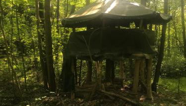 Das wilde Auwaldhaus - Foto 5, Garden