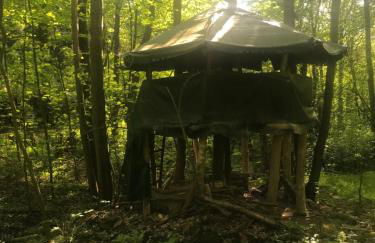 Das wilde Auwaldhaus - Foto 5