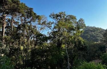 Casa em Visconde De Mauá, Terrário da Montanha - Foto 46