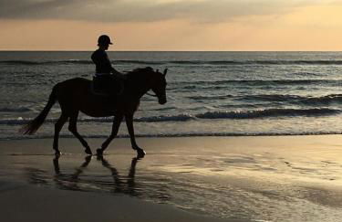 L’ERMITAGE DE KERGUEN - Foto 9