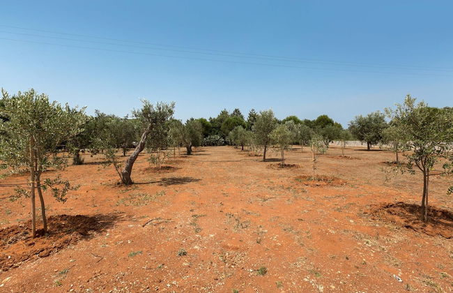 3048 Villette Tundo by Barbarhouse - Foto 28