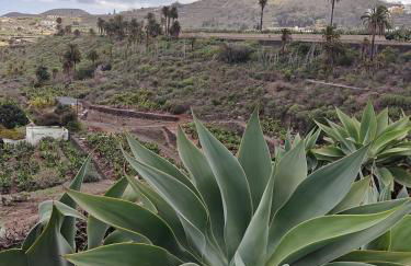 El Alpendre- Entre plataneras, a 10 minutos playa - Foto 16
