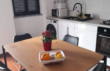 Nova Quinta Moderna TORRAMO em Oliveiras, Campo de Laranjas, na Nacional 2, Alentejo 13750 m2 - Foto 51