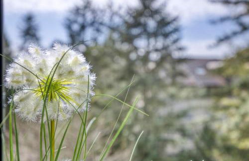 Le havre de Paix - Near Geneva - Calm and Quiet - Foto 42