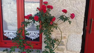 A Casiña de Carmen - Foto 2