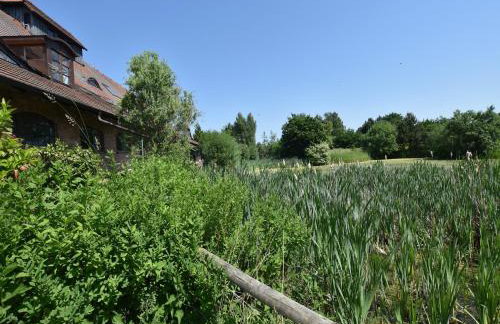 Rustic-style Apartment in Buschenhagen With Garden - Foto 44