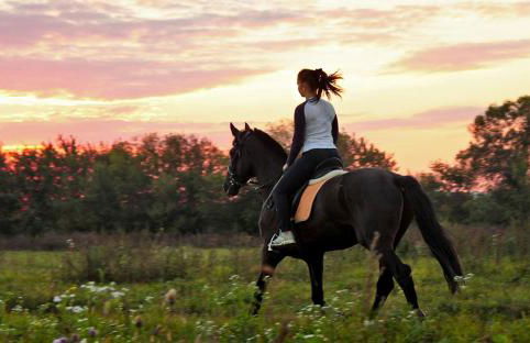 Agriturismo Relais Tenuta il Cigno - Foto 75