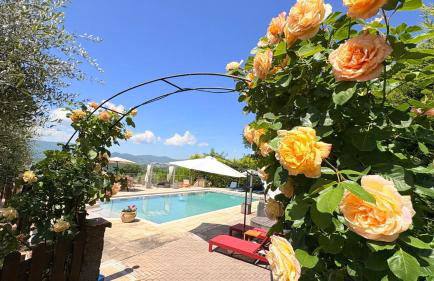Agriturismo Podere Campiglia - Foto 3