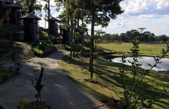 Hotel Fazenda Pampas - Foto 24