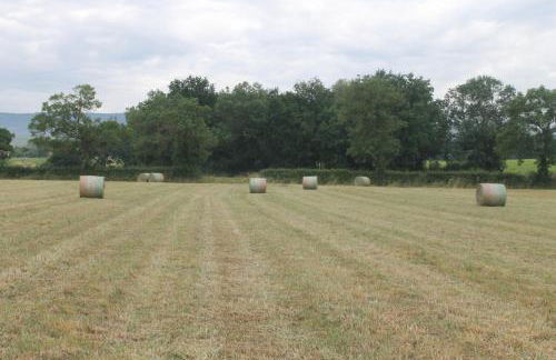 Gîte Fleurs de Gamay au coeur du Beaujolais - Foto 30