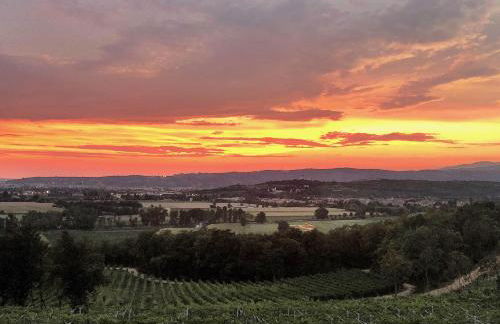 Musella Winery & Relais - Foto 138