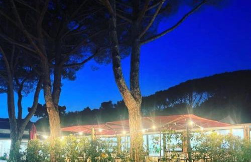 Appartamenti Campeggio del Forte - Foto 27