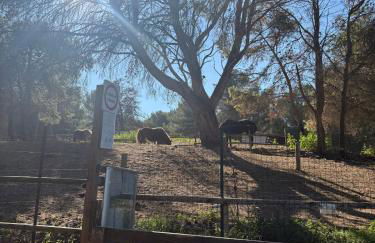 Appartement domaine de Pont Royal - Photo 42