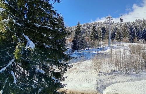 CAMPIGLIO Panorama sul Brenta - Foto 53