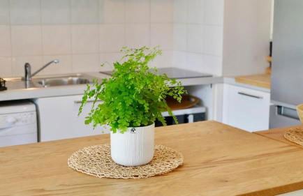 Joli T2 avec jardin proche du château d'Arcangues - Foto 16