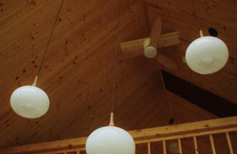 Miło las widzieć - Foto 21