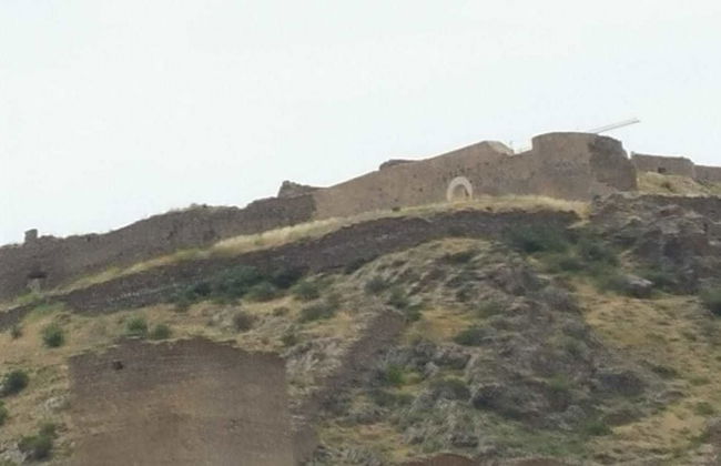 La Albacara - Foto 45