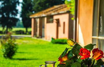 Podere Del Gesso - Foto 52