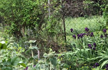 Condrieu et parking voiture vélo 2 ème étage - Foto 61