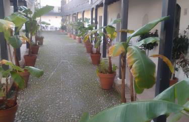 Corral Montelucía Siglo XVI - Foto 24