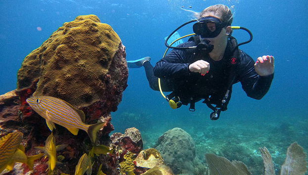 Fundo marinho de Cancún