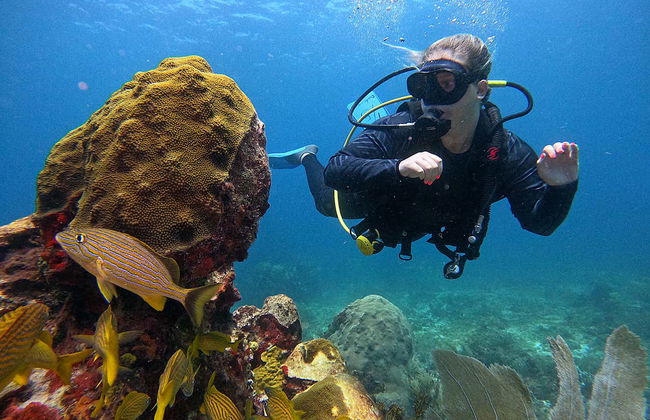 Bautismo de buceo en Cancún - Foto 4
