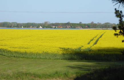 Gut-Rattelvitz-Galerie-D-hochwertig-Sauna-Kamin-eTankstelle-Spielscheune-15-000qm-Parkland - Photo 65