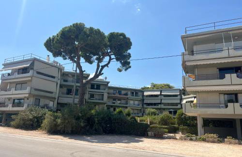 Blue Vision - Foto 17