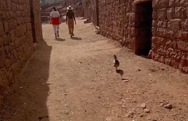 Tazart Lodge - Foto 47