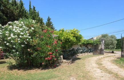 Mas Michel et Josiane - Photo 9