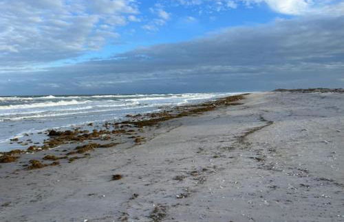 Private heated pool , resort style home , minutes from the beach - Foto 53