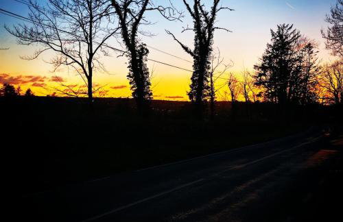 Treforgan Newydd - Foto 26