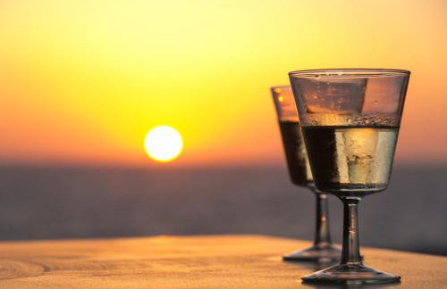 Alpha Studios - Foto 11