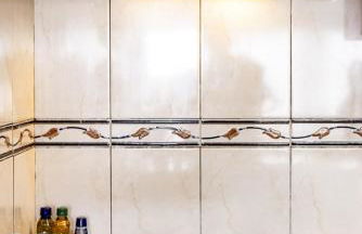 Apartamento Oslar - Foto 9