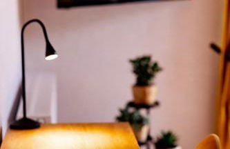 birds-nest Ferienwohnung Balkon Kaminofen - Foto 17