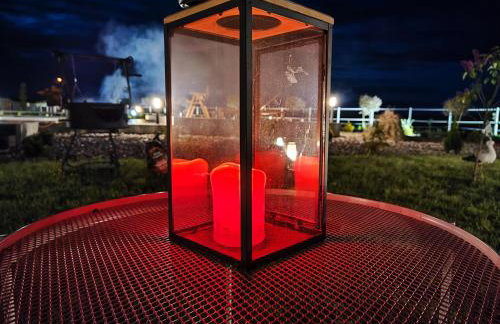 Vigor Horses - Foto 34