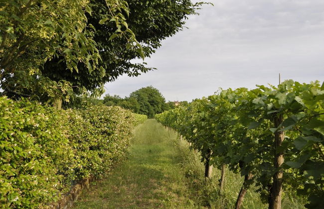 La Casa Griunit - Foto 14