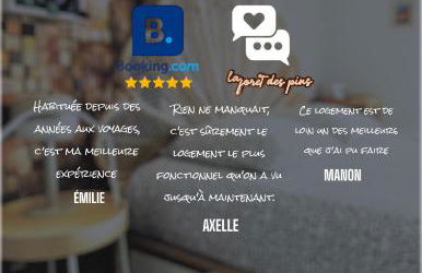 La Forêt des Pins - Free Check-In - Wifi - Parking Privé - Netflix - Draps & Serviettes inclus - Foto 46