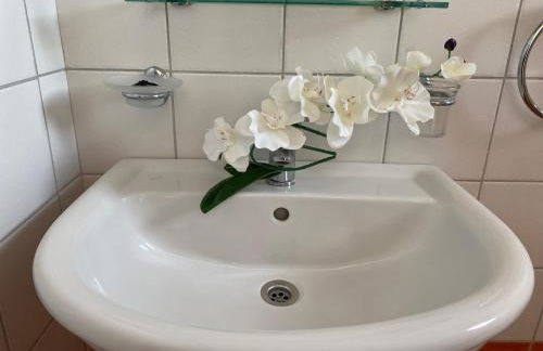 FORESTEVA Studios - Photo 27