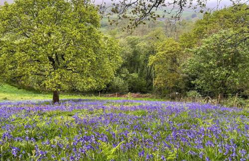 2 Bed in Alverstone oc-ic160 - Foto 12