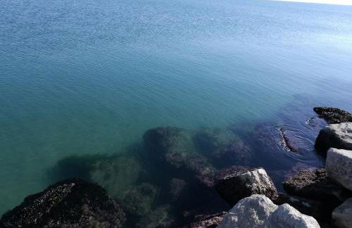 Villa Hermosa Beach - Foto 47