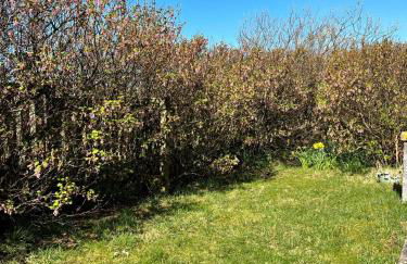 Clingera studio rooms - Foto 2