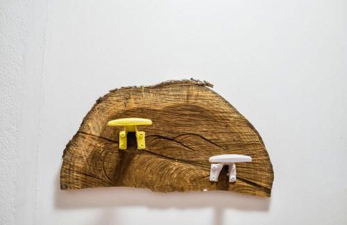 Alda Fogar Natural - Photo 38