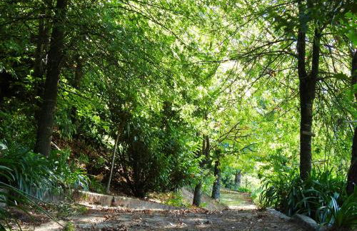 Ideal Villa in Vila Nova de Famalicão with Private Pool - Foto 33