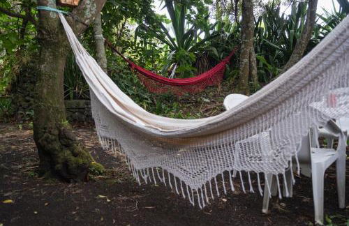 Quinta de São Caetano - São Miguel Açores - Photo 75