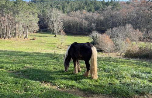 Le Mas dAmour - Foto 53