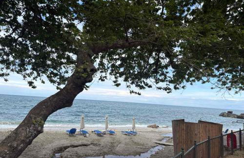 Luxury house Andrijana - Photo 33