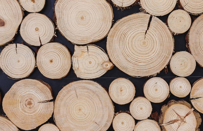 Apartment Kamienna Wisla by Renters - Photo 80