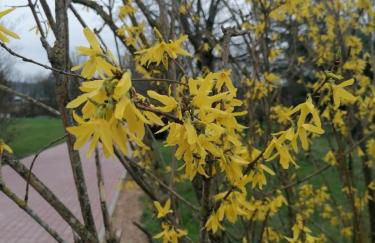 Ferienwohnungen Felten in Minheim - Foto 50